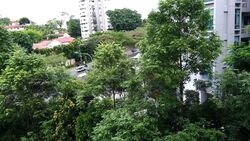 Holland Hill (D10), Apartment #556808521